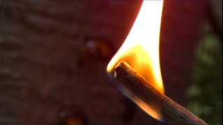 High Country Tips & Tricks: Natural Firestarter