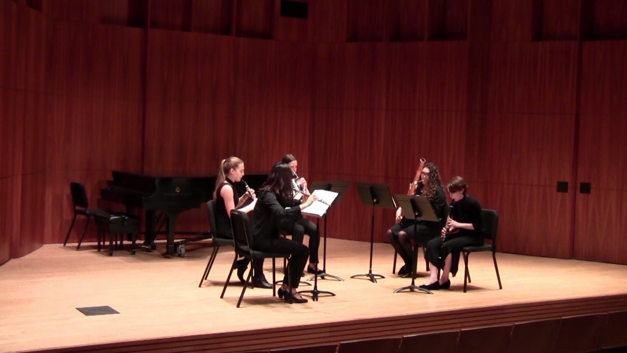 Taffanel Wind Quintet in g minor I. Allegro con moto YouTube