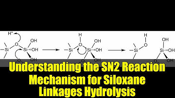 Understanding the SN2 Reaction Mechanism for Siloxane Linkages Hydrolysis