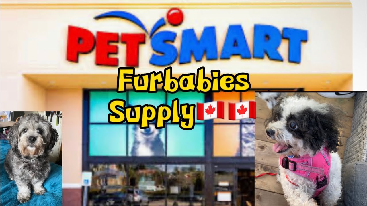Buying dog foodpetsmart winnipeg YouTube