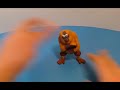 Master Monkey Rolls Slowmo