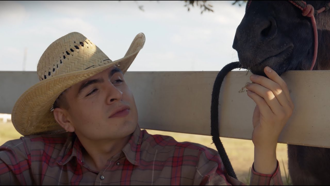 Beto Vega - Mi Burrito Sabanero (Video Oficial)