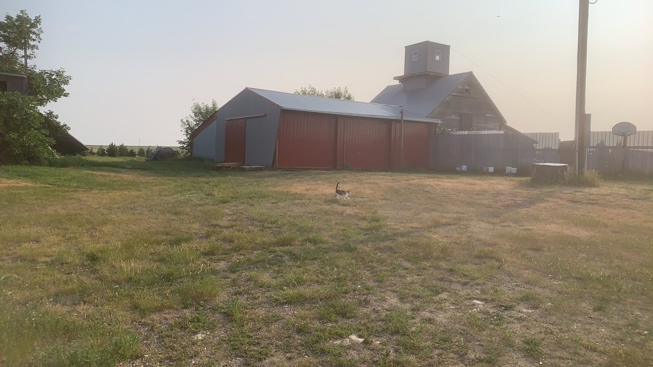 DIGGUN Metal Detecting, Chicken Chat Homesteading and Farm Life in