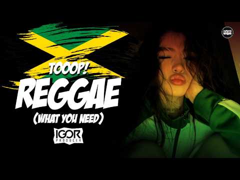 REGGAE INTERNACIONAL - WHAT YOU NEED - TOP REGGAE REMIX LANÇAMENTO 2026 @igorproducer