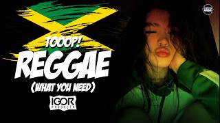 REGGAE INTERNACIONAL - WHAT YOU NEED - TOP REGGAE REMIX LANÇAMENTO 2026 @igorproducer
