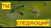 Семья в деревне!
