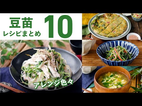 【豆苗レシピ10選】主菜にも副菜にも！簡単節約アレンジレシピ♪｜macaroni（マカロニ）