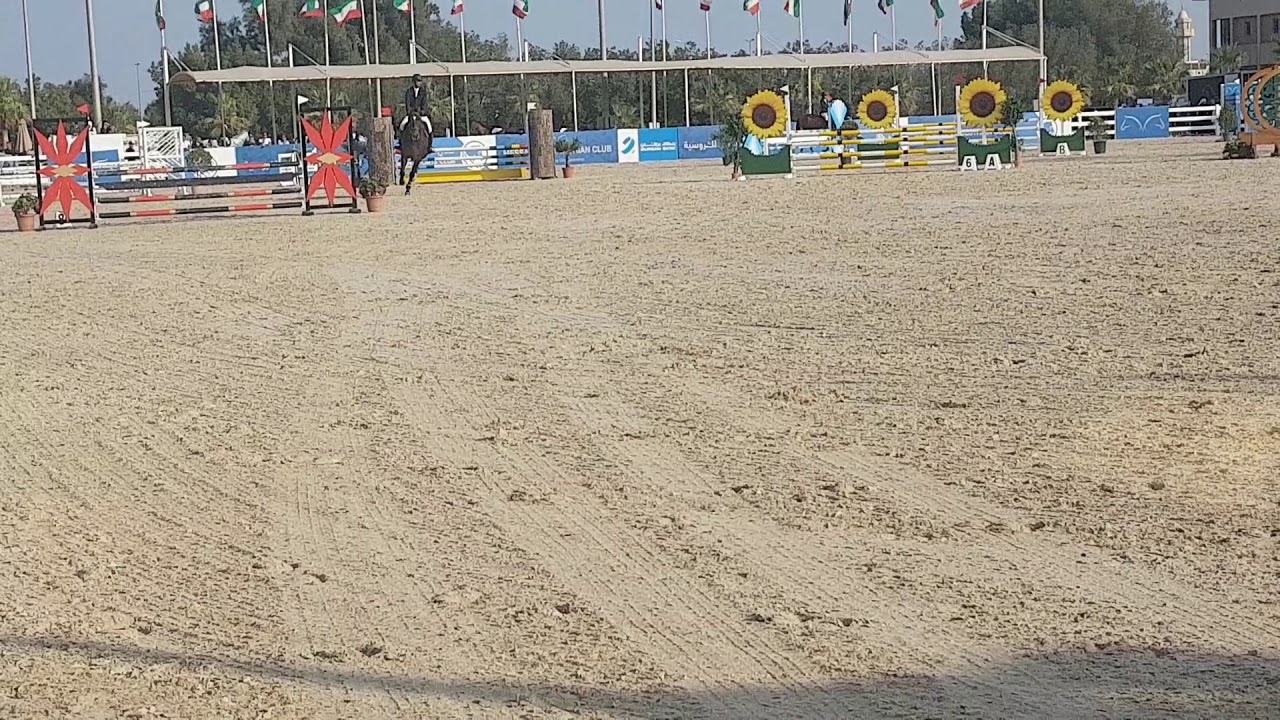 Kuwait horse riding competition YouTube