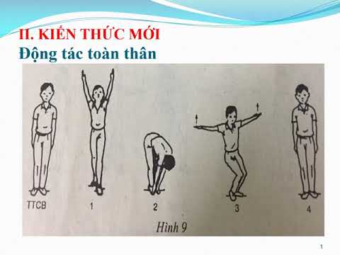 Thể dục 3 - Tuần 6: Động tác toàn thân