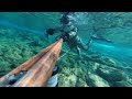 Bodrum Mart ayı Levrek avları #spearfishing #labrax #hunt  Akdenizsub #speargun #fishing #fish