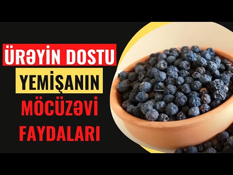 Video: Mandarinlərin Faydalı Keyfiyyətləri