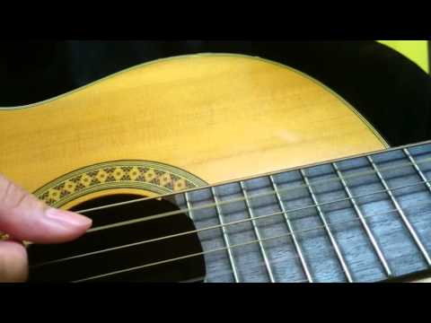 TUTORIAL SEROTONIN (ALBUM VERSION) - PEE WEE GASKINS