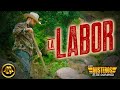 Los Austeros De Durango - La Labor (Video Oficial)