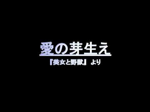 愛の芽生え　歌詞付き