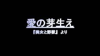 愛の芽生え　歌詞付き