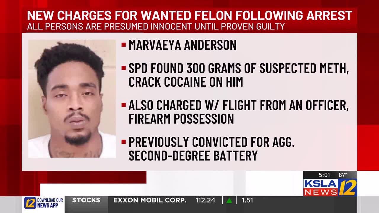 Convicted felon arrested after reportedly leading police on dangerous ...