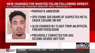 Convicted felon arrested after reportedly leading police on dangerous chase