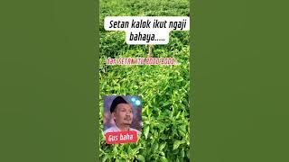 gus baha setan itu Goblok Goblok #vlog #gusbaha #motivasi #islam