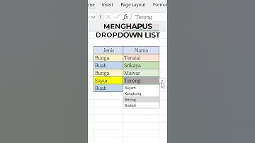 Cara Menghapus Dropdown List di Excel #Shorts