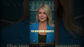 Karoline Leavitt just obliterated a fake news reporter 😂🔥 #shorts