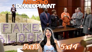 Arrested Development REACTION | 5x13 & 5x14