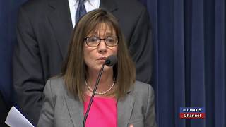 Bipartisan Group of Lawmakers Speak on the Sterigenics Emissions