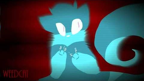 videopad editing test [misc]