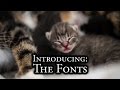 Introducing: The Fonts