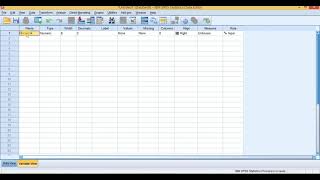 SPSS