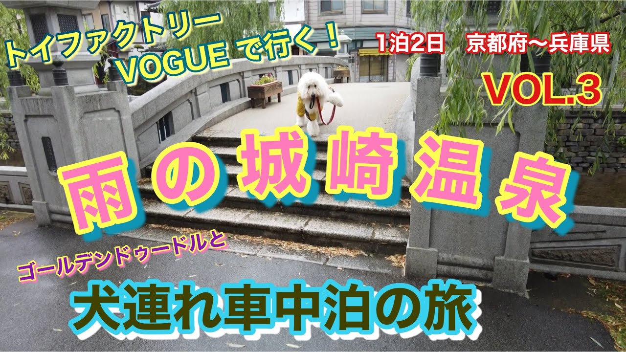トイファクトリー Vogue で行く 犬連れ車中泊の旅 ゴールデンドゥードルと雨でも楽しい城崎温泉 Youtube