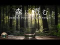 【作業用BGM】森に澄む &ndash; Komorebi Forest &times; Healing Ambient