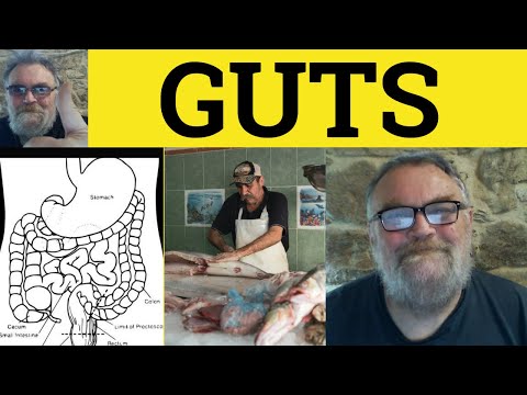 Gut Meaning - Guts Examples - Gut Feeling Examples - Gut Wrenching Catgut Intestines - Gut Guts