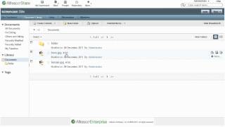 Document Numbering in Alfresco Share