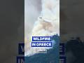 Strong winds fuel wildfire battle at Greek coastal resort