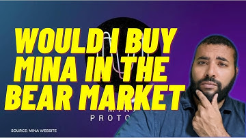 Would I Buy MINA in the Bear Market? Installment 66 of 1001