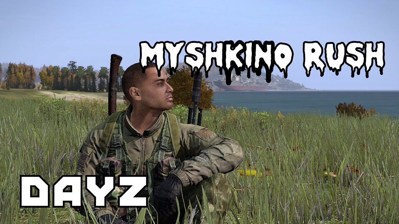 Dayz gun