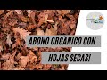 Abono orgánico súper nutritivo para las plantas