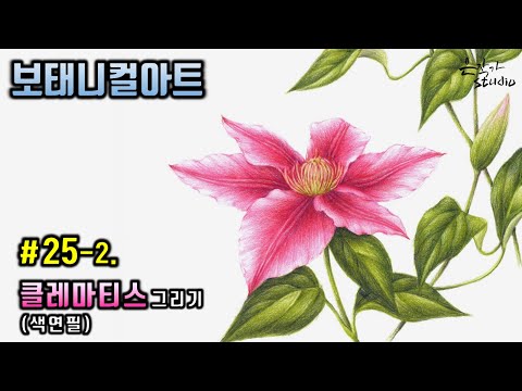 Clematis Flower drawing | 클레마티스 그리기 | 꽃그림 배우기 25-2