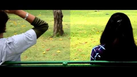 Color Grading Tutorial - Color Correction - Film Look - Vegas Pro 11 - Just Kailash Photography