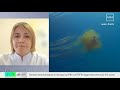 Россиянам напомнили о правилах безопасности на отдыхе у моря - Москва 24