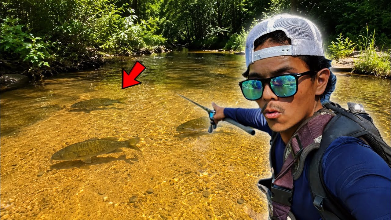This Hidden Illinois River Was LOADED with Fish!