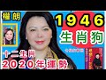 權朗 【1946年屬狗】2020生肖全面運勢,2020生肖運程屬狗命理,2020鼠年十二生肖運程