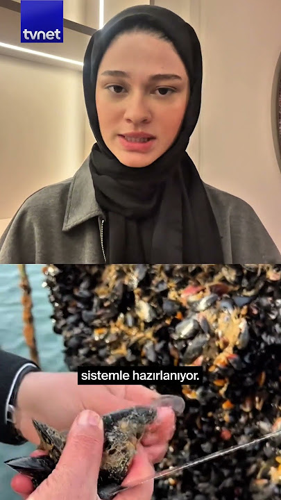 Which mussel can we trust? Here's the answer... #mussel #news #health #agenda