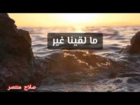 قلوب حجارة كلمات صلاح منتصر