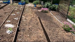 Garden Update Ep 6/ Electric Net Fencing Is Evil