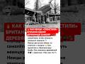 🔥 КАК НЕМЦЫ «ОТОМСТИЛИ» БРИТАНИИ 💣🪵 #ссср #история #россия #вов #интересно #факты