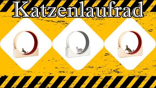 Katzenlaufrad Test ∮ Auf was achten beim Kauf?