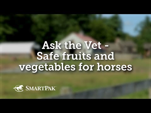 Video: Ar arkliai gali valgyti krienus?
