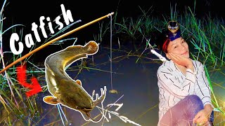 Fishing Rice Fields for Catfish || Thai Village Life