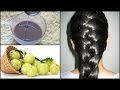 DIY: Amla Hair Mask  | Promote Hair growth